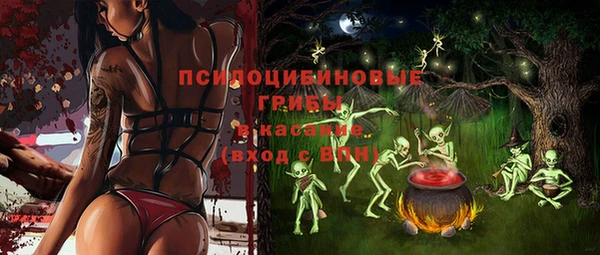гашик Балахна
