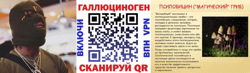 Псилоцибиновые грибы GOLDEN TEACHER  магазин  наркотиков  Новое Девяткино 